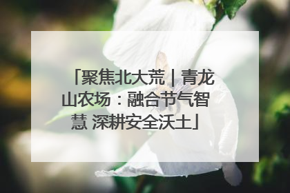 聚焦北大荒｜青龙山农场：融合节气智慧 深耕安全沃土