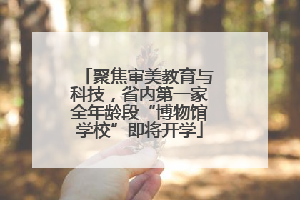 聚焦审美教育与科技，省内第一家全年龄段“博物馆学校”即将开学