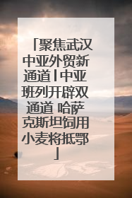 聚焦武汉中亚外贸新通道│中亚班列开辟双通道 哈萨克斯坦饲用小麦将抵鄂