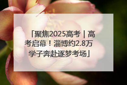 聚焦2025高考｜高考启幕！淄博约2.8万学子奔赴逐梦考场