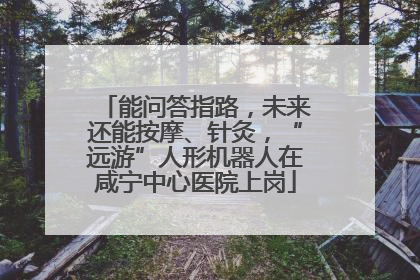 能问答指路，未来还能按摩、针灸，“远游”人形机器人在咸宁中心医院上岗