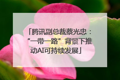 腾讯副总裁蔡光忠：“一带一路”背景下推动AI可持续发展