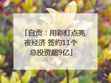 自贡：用彩灯点亮夜经济 签约11个总投资超9亿
