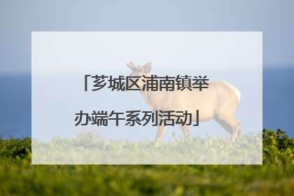 芗城区浦南镇举办端午系列活动