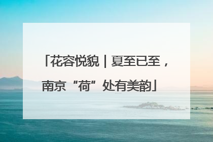 花容悦貌｜夏至已至，南京“荷”处有美韵