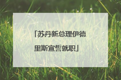 苏丹新总理伊德里斯宣誓就职