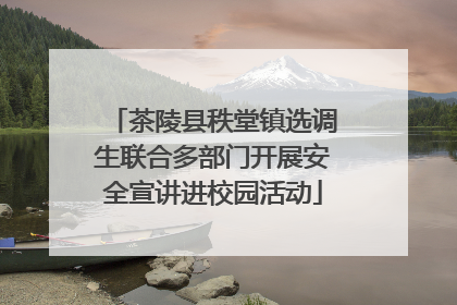 茶陵县秩堂镇选调生联合多部门开展安全宣讲进校园活动