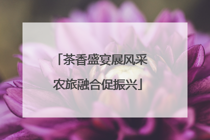 茶香盛宴展风采 农旅融合促振兴