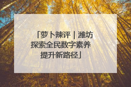 萝卜辣评｜潍坊探索全民数字素养提升新路径