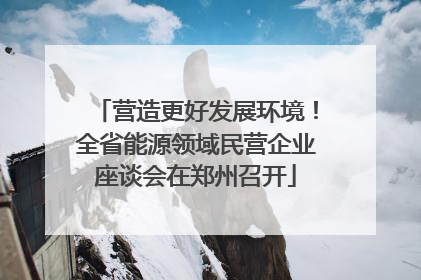 营造更好发展环境！全省能源领域民营企业座谈会在郑州召开