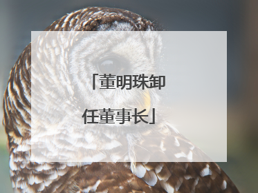董明珠卸任董事长