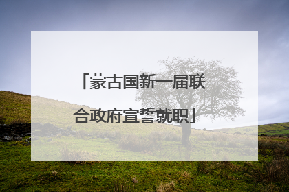 蒙古国新一届联合政府宣誓就职