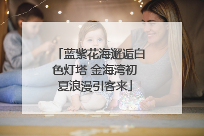 蓝紫花海邂逅白色灯塔 金海湾初夏浪漫引客来