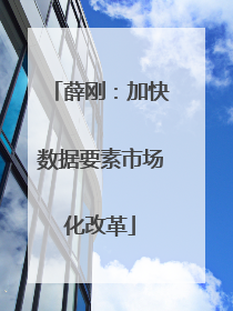 薛刚：加快数据要素市场化改革