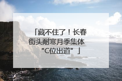 藏不住了！长春街头耐寒月季集体“C位出道”