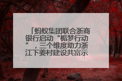 蚂蚁集团联合浙商银行启动“栀梦行动”，三个维度助力浙江下姜村建设共富示范区示范点