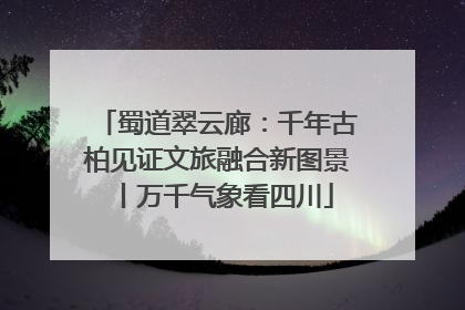蜀道翠云廊：千年古柏见证文旅融合新图景丨万千气象看四川