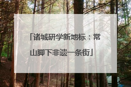诸城研学新地标：常山脚下非遗一条街