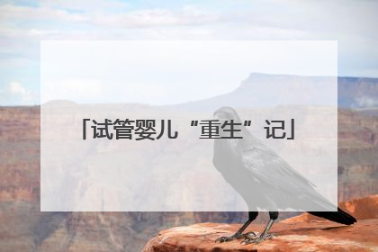 试管婴儿“重生”记