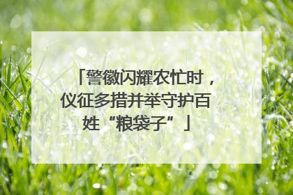 警徽闪耀农忙时，仪征多措并举守护百姓“粮袋子”