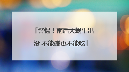 警惕！雨后大蜗牛出没 不能碰更不能吃