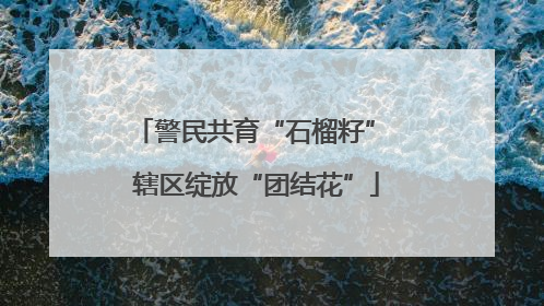 警民共育“石榴籽” 辖区绽放“团结花”