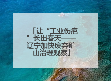 让“工业伤疤”长出春天——辽宁加快废弃矿山治理观察