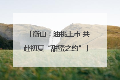 衡山：油桃上市 共赴初夏“甜蜜之约”