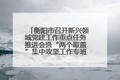 衡阳市召开新兴领域党建工作重点任务推进会暨“两个覆盖”集中攻坚工作专班 第一次会议