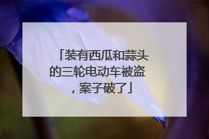 装有西瓜和蒜头的三轮电动车被盗，案子破了