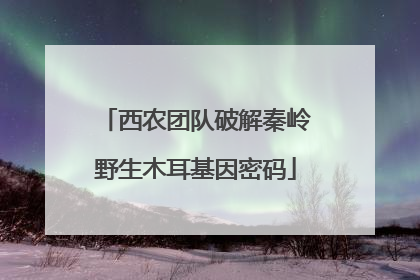 西农团队破解秦岭野生木耳基因密码