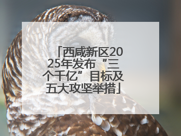 西咸新区2025年发布“三个千亿”目标及五大攻坚举措