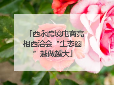 西永跨境电商亮相西洽会“生态圈”越做越大