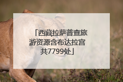 西藏拉萨普查旅游资源含布达拉宫共7799处