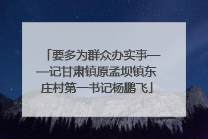 要多为群众办实事——记甘肃镇原孟坝镇东庄村第一书记杨鹏飞