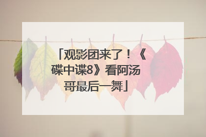 观影团来了！《碟中谍8》看阿汤哥最后一舞