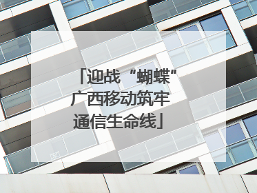 迎战“蝴蝶” 广西移动筑牢通信生命线