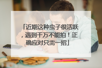 近期这种虫子很活跃，遇到千万不能拍！正确应对只需一招