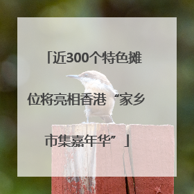 近300个特色摊位将亮相香港“家乡市集嘉年华”