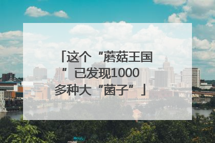 这个“蘑菇王国”已发现1000多种大“菌子”