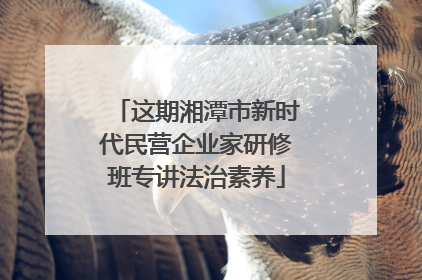 这期湘潭市新时代民营企业家研修班专讲法治素养
