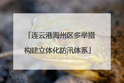 连云港海州区多举措构建立体化防汛体系