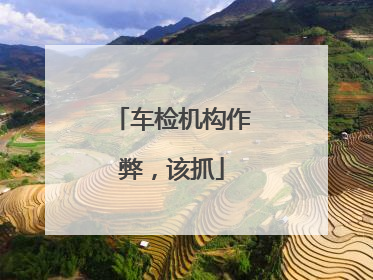 车检机构作弊，该抓
