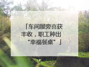 车间屋旁喜获丰收，职工种出“幸福餐桌”