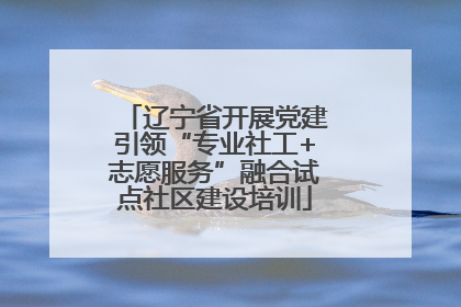 辽宁省开展党建引领“专业社工+志愿服务”融合试点社区建设培训