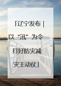 辽宁发布｜以“汛”为令 打好防灾减灾主动仗