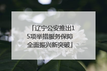 辽宁公安推出15项举措服务保障全面振兴新突破