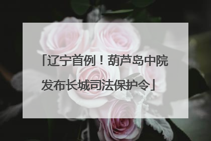 辽宁首例！葫芦岛中院发布长城司法保护令