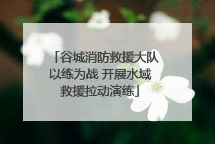 谷城消防救援大队以练为战 开展水域救援拉动演练