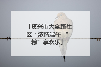 资兴市大全路社区：浓情端午 “粽”享欢乐